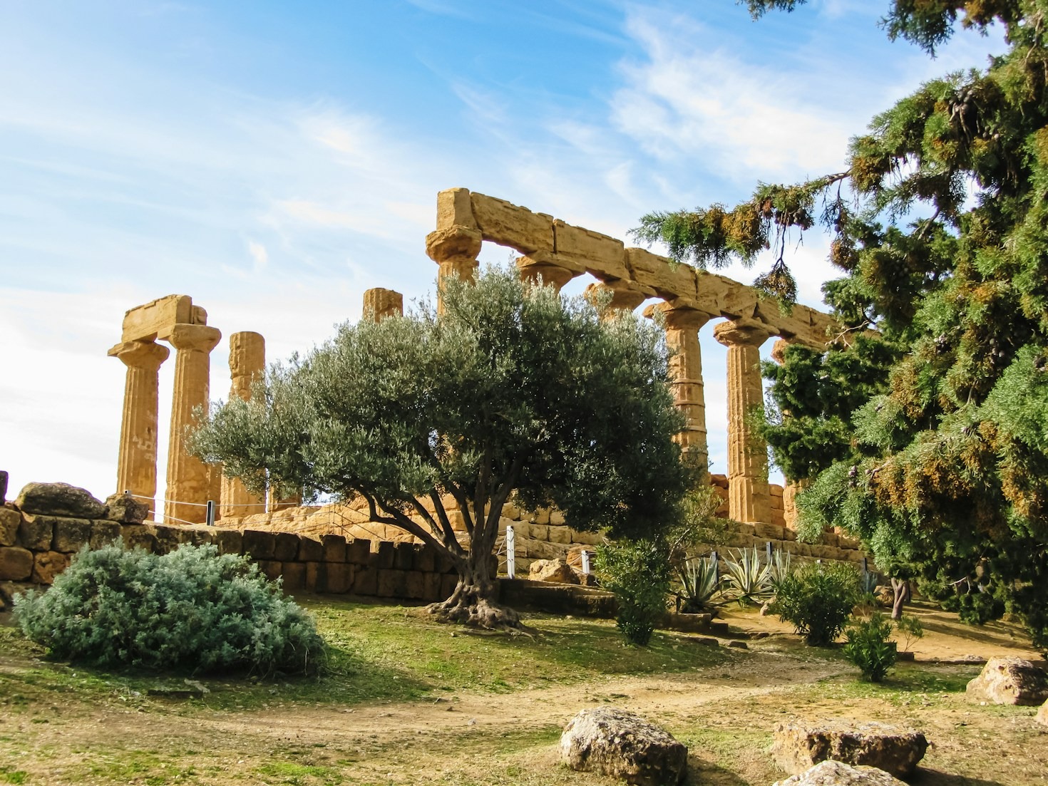 Le migliori esperienze enogastronomiche di Agrigento